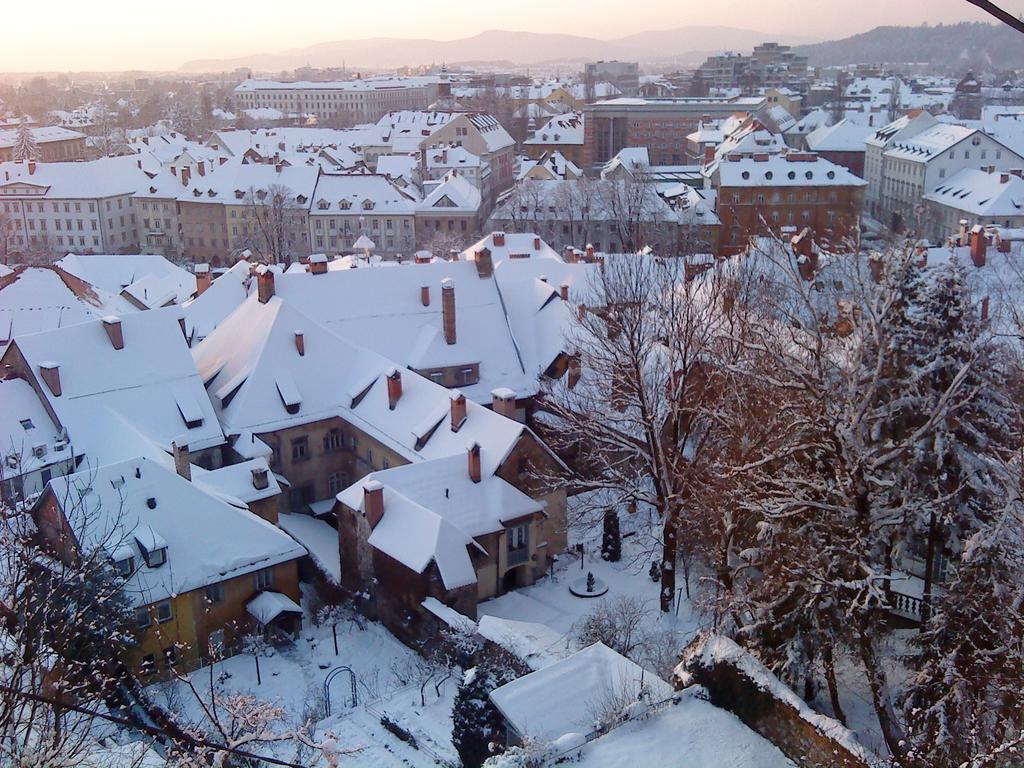 Apartment Tagrajska Ljubljana Ruang foto
